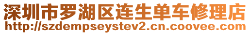 深圳市羅湖區連生單車修理店