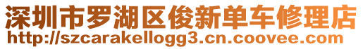 深圳市羅湖區(qū)俊新單車修理店