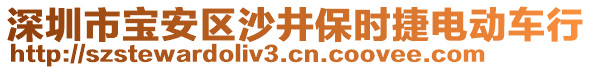 深圳市寶安區(qū)沙井保時捷電動車行