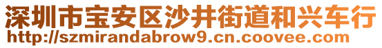 深圳市寶安區(qū)沙井街道和興車行