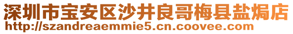 深圳市寶安區(qū)沙井良哥梅縣鹽焗店