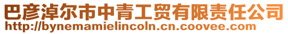 巴彥淖爾市中青工貿有限責任公司