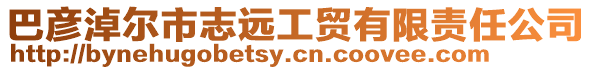 巴彥淖爾市志遠工貿有限責任公司