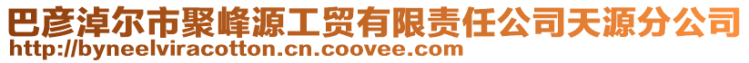 巴彥淖爾市聚峰源工貿有限責任公司天源分公司