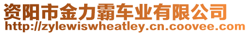 資陽市金力霸車業(yè)有限公司