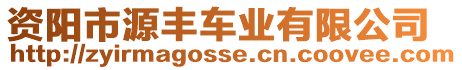 資陽市源豐車業有限公司