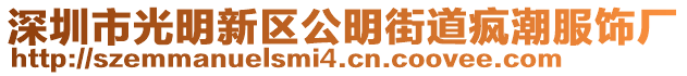 深圳市光明新區(qū)公明街道瘋潮服飾廠