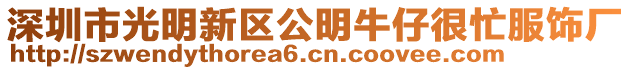 深圳市光明新區(qū)公明牛仔很忙服飾廠