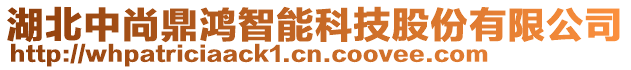 湖北中尚鼎鴻智能科技股份有限公司