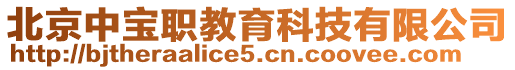 北京中寶職教育科技有限公司