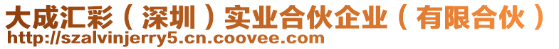 大成匯彩（深圳）實業合伙企業（有限合伙）