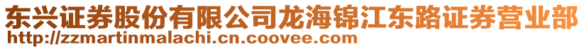 東興證券股份有限公司龍海錦江東路證券營業部