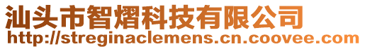 汕頭市智熠科技有限公司