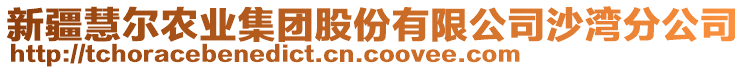 新疆慧爾農(nóng)業(yè)集團股份有限公司沙灣分公司