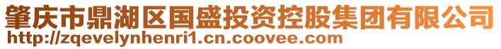 肇慶市鼎湖區(qū)國盛投資控股集團(tuán)有限公司
