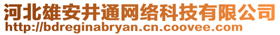 河北雄安井通網(wǎng)絡科技有限公司