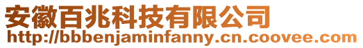 安徽百兆科技有限公司