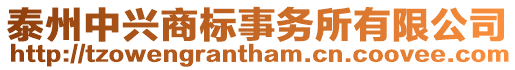 泰州中興商標事務所有限公司