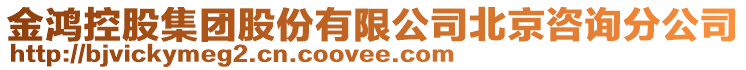 金鴻控股集團股份有限公司北京咨詢分公司