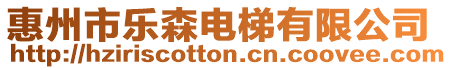 惠州市樂森電梯有限公司