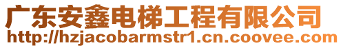 廣東安鑫電梯工程有限公司