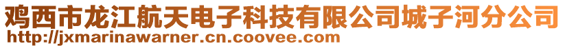 雞西市龍江航天電子科技有限公司城子河分公司