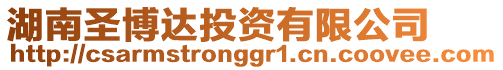 湖南圣博達投資有限公司