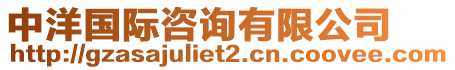 中洋國(guó)際咨詢有限公司