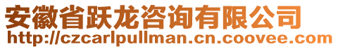 安徽省躍龍咨詢有限公司