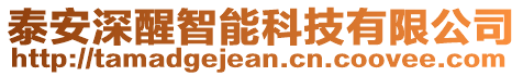 泰安深醒智能科技有限公司