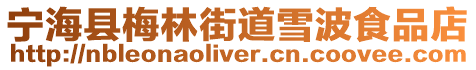 寧海縣梅林街道雪波食品店