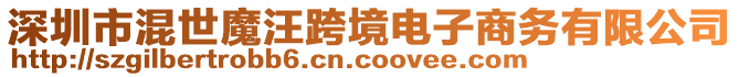 深圳市混世魔汪跨境電子商務(wù)有限公司