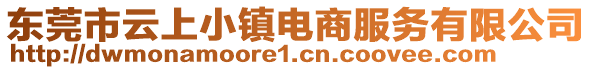 東莞市云上小鎮電商服務有限公司