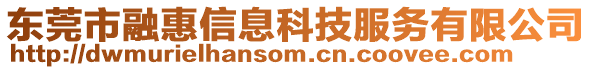 東莞市融惠信息科技服務有限公司