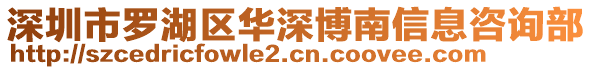 深圳市羅湖區(qū)華深博南信息咨詢部