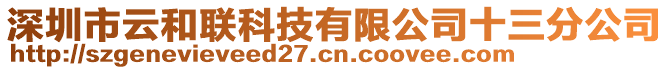 深圳市云和聯(lián)科技有限公司十三分公司