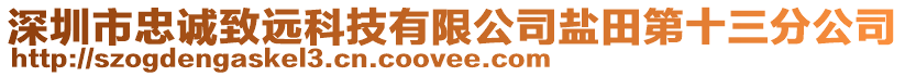 深圳市忠誠致遠科技有限公司鹽田第十三分公司