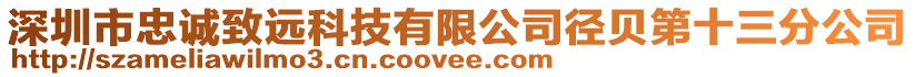 深圳市忠誠致遠科技有限公司徑貝第十三分公司