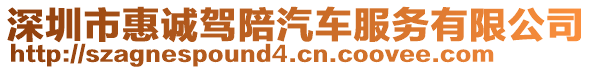 深圳市惠誠駕陪汽車服務(wù)有限公司