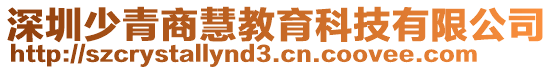 深圳少青商慧教育科技有限公司