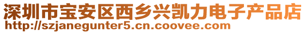深圳市寶安區西鄉興凱力電子產品店