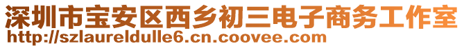 深圳市寶安區(qū)西鄉(xiāng)初三電子商務工作室