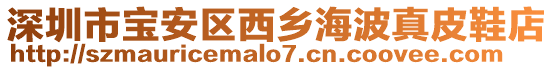 深圳市寶安區(qū)西鄉(xiāng)海波真皮鞋店
