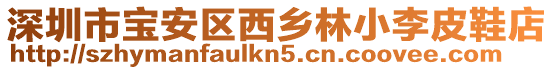 深圳市寶安區西鄉林小李皮鞋店
