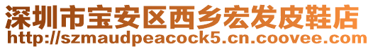 深圳市寶安區(qū)西鄉(xiāng)宏發(fā)皮鞋店