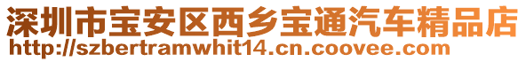 深圳市寶安區(qū)西鄉(xiāng)寶通汽車精品店