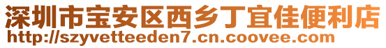 深圳市寶安區西鄉丁宜佳便利店