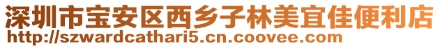 深圳市寶安區(qū)西鄉(xiāng)子林美宜佳便利店
