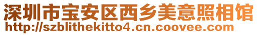 深圳市寶安區(qū)西鄉(xiāng)美意照相館