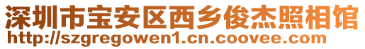 深圳市寶安區(qū)西鄉(xiāng)俊杰照相館